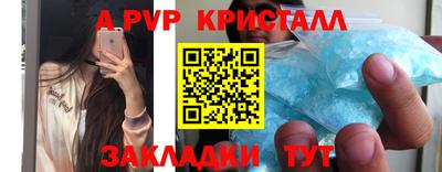 индика Новозыбков