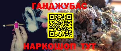 индика Новозыбков