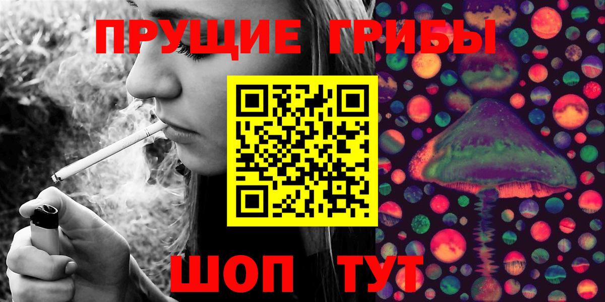 Псилоцибиновые грибы Psilocybe  Вход с VPN  Троицк 
